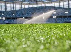 澄清误会,保罗与库里,追梦分歧实,千亿体育官网,千亿体育平台,千亿体育链接,千亿体育官方