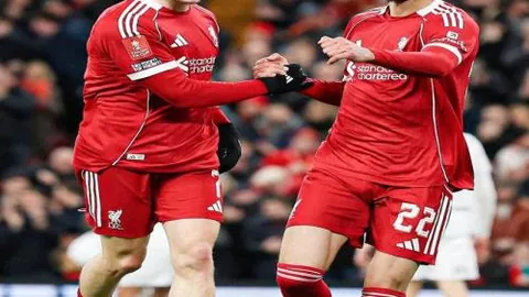 大乐透期号专家推荐：高原主场对抗尼克斯质合分析